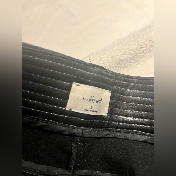 Aritzia Funk Pant - Picture 4 of 4